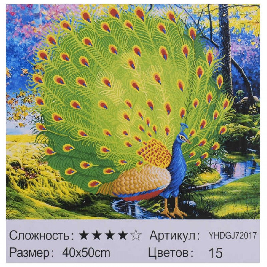 Картина за номерами + Алмазна мозаїка 2в1 YHDGJ 72017 (30) 